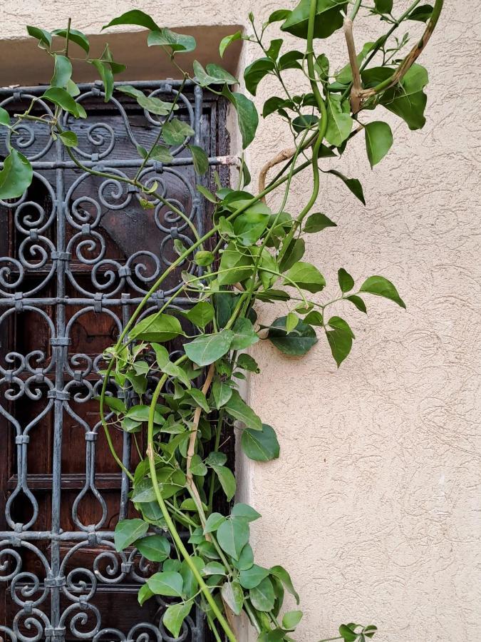 Riad Rime Garden Marrakech Lagouassem Extérieur photo